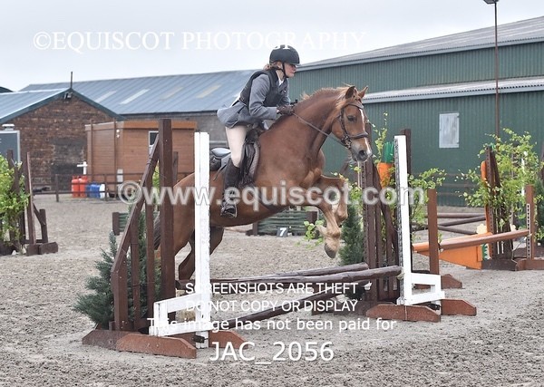 JAC_2056 - CLASS 1 Nursery Novice Working Hunter