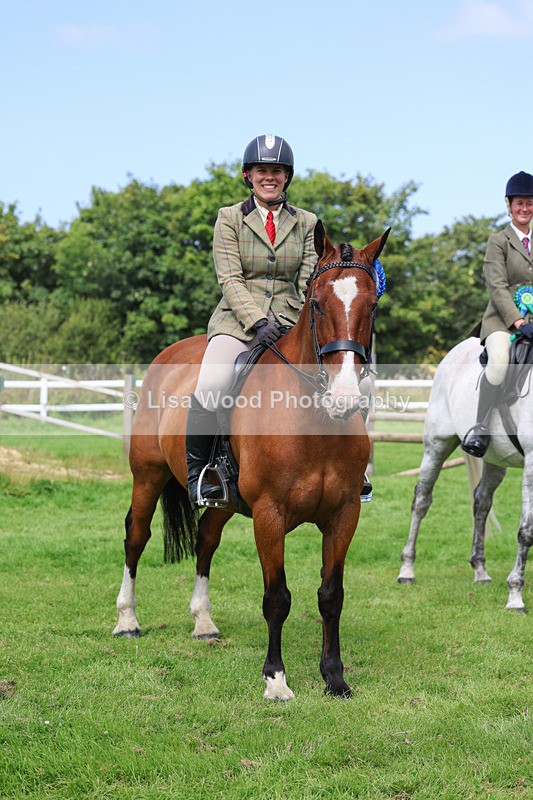 3E7A8807 - Class 5: Working Show Horse