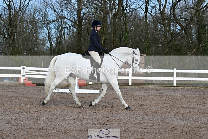 250125-112504-00339 - Dressage - CT Class 5 BE95 (90cm)