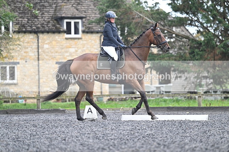 WJ7_6137 - Time 14:10 to 14:45