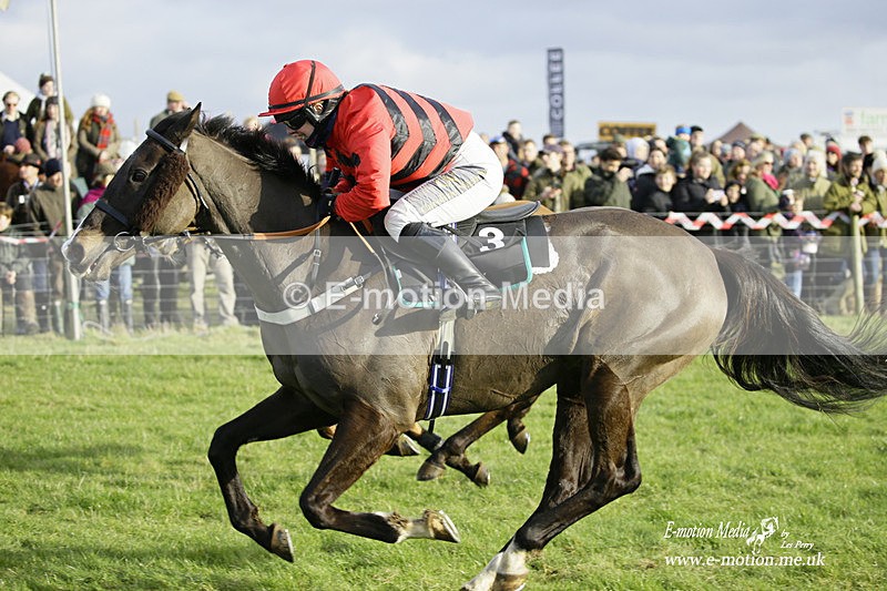 PtP 300122 500 - South Dorset Hunt - Point-to-Point Races 30/01/2022