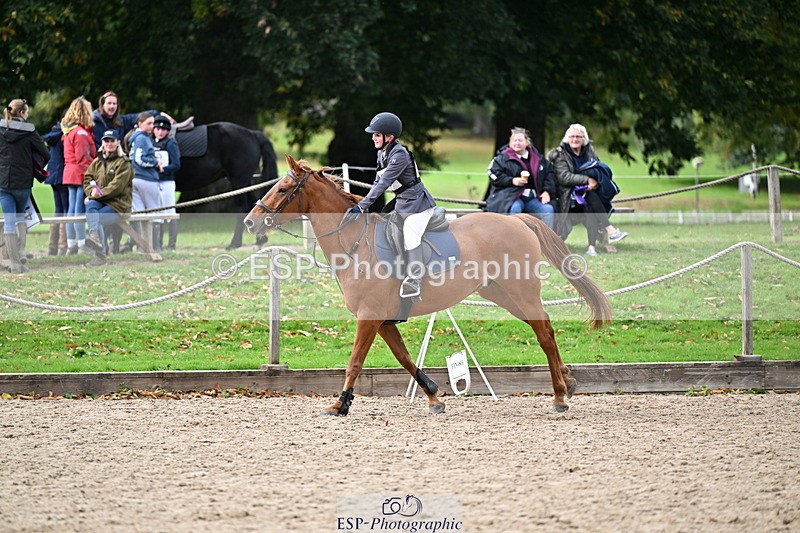 251005A-135739-04227 - Cls 09 Nov 80-85cm