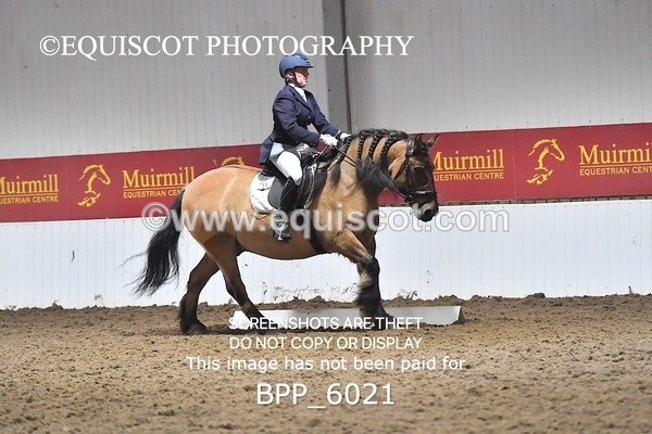 BPP_6021 - ELEM TEST 4