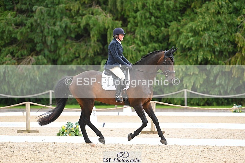 230813-144207-07819 - Cls 13 Medium Bronze 13.15 to End