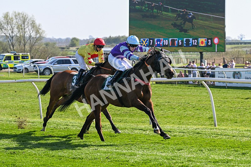 080426-Race 4-Evocative Spark-0356 - Race 4
