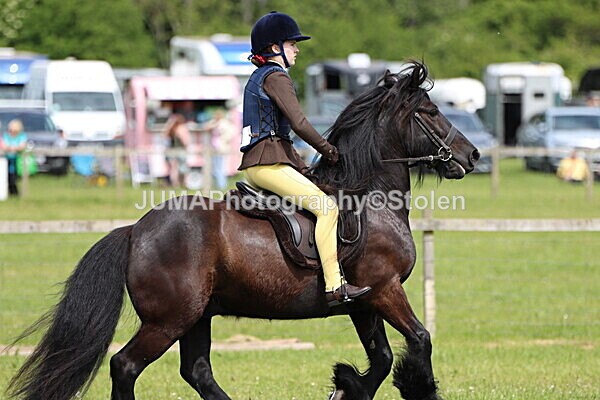 IMG_3255 - Working Hunter