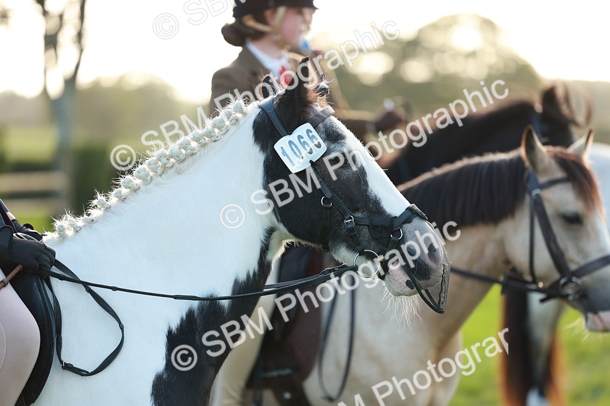 SBM_28795 - S7 - Novice & Newcomer Ridden Pony