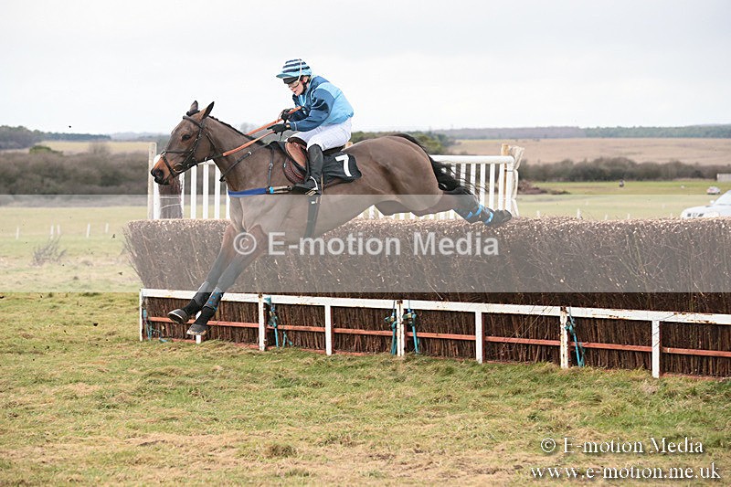PtP 230119 250 - Royal Artillery Point-to-Point  - Larkhill  - 26/01/19