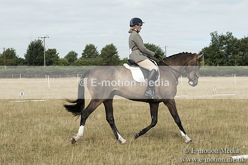 _PJP5667 - Dressage Classes BVRC Show 2018