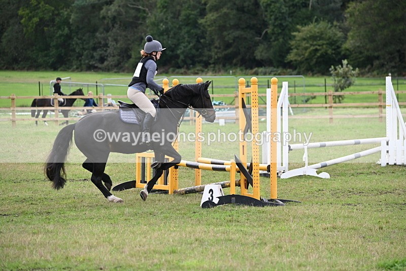 WJ6_1250 - 60cm Time 11:51 to 12:10