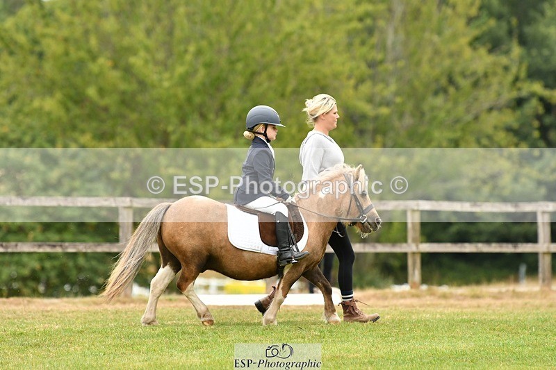 250820A-120220-05427 - 11am to 12