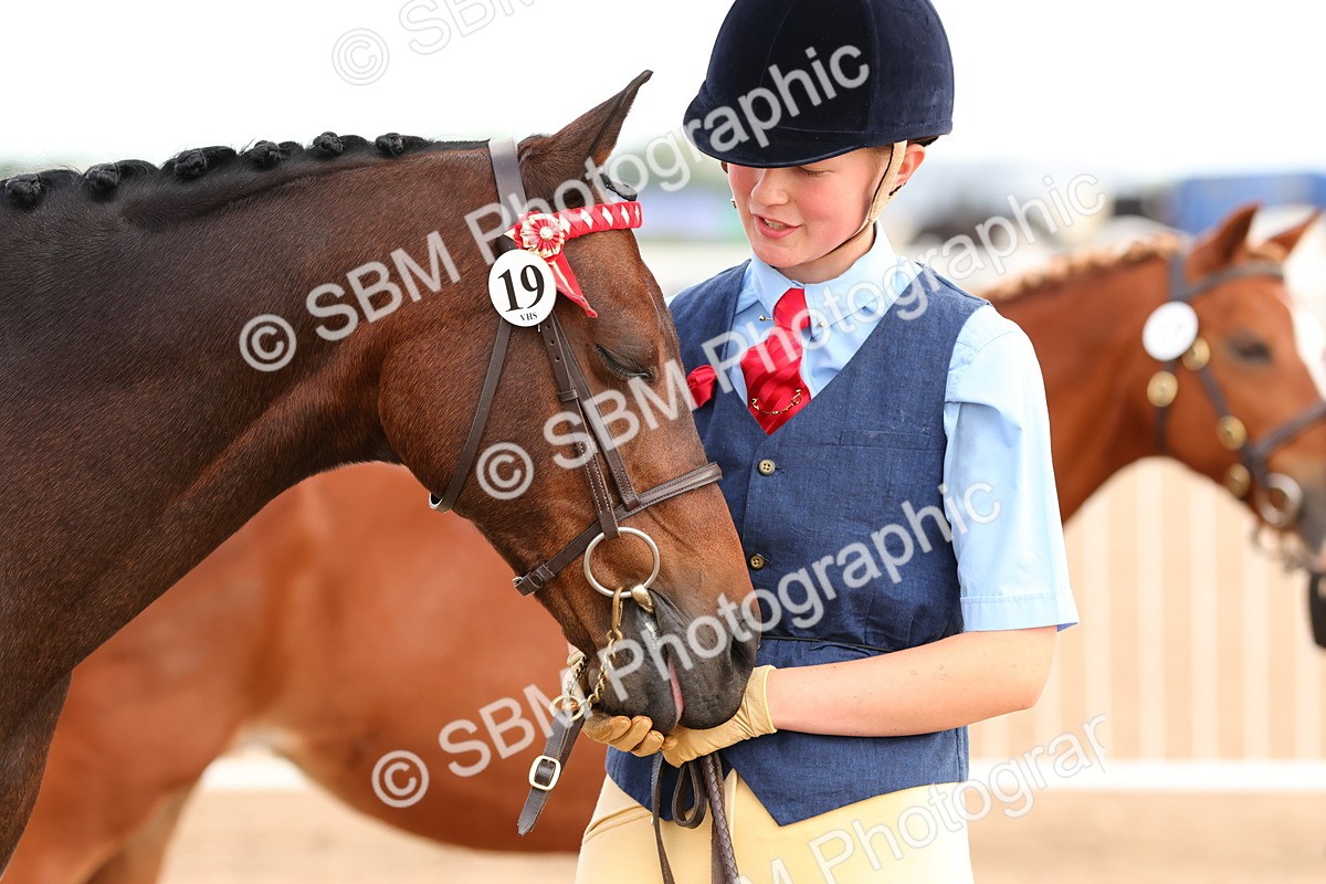 SBM_10225 - Class 205 - IH Show Pony - Show Hunter Pony