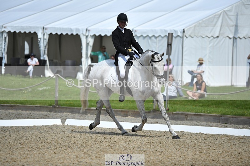 230525-103125-01730 - 313-LOUISBOURG_C-Jack_Whiteford-WEDTrotUp+DR