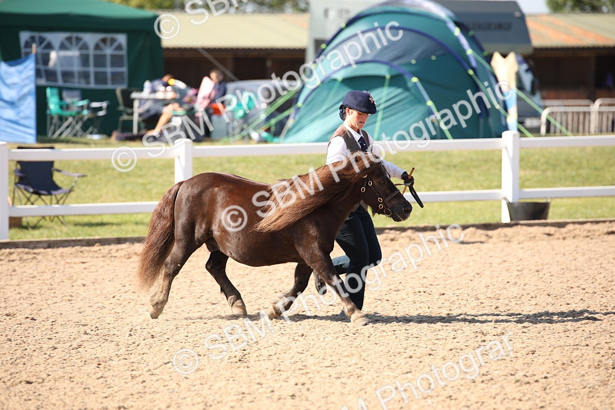 SBM_02679 - Class 16 IH M&M Wildcard