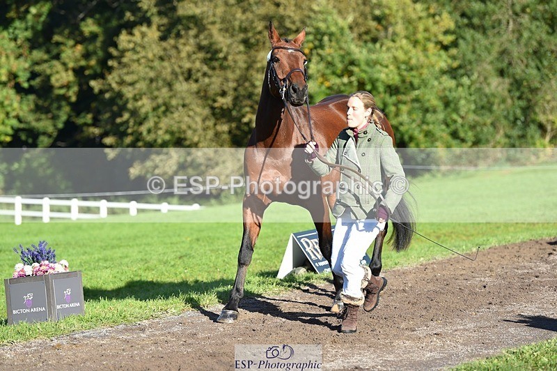 231022-101944-22417 - 433-WILLIAM-Laura.Sharpe-TrotUp+SJ