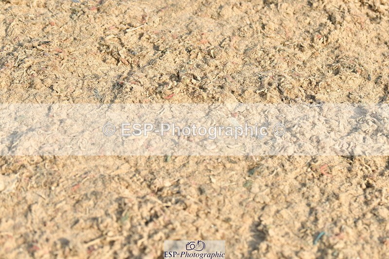 230721A-090426-04586 - Cls 26, 5 Yr Olds 1.10m