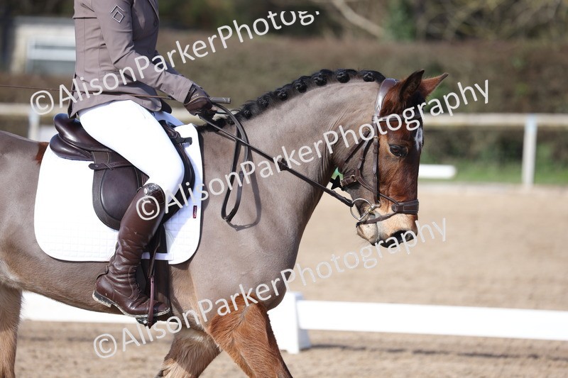 20260228-0494 - Class 4 - Prelim 2