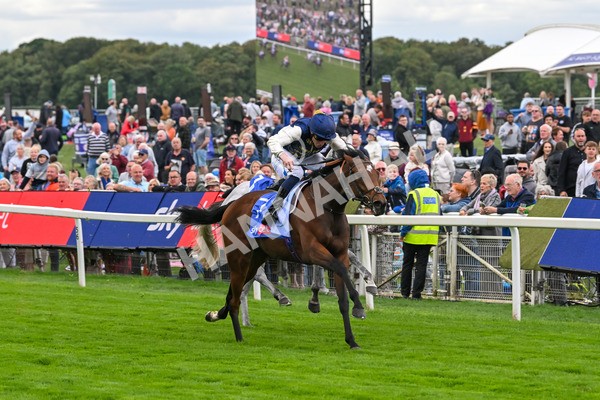 210825-Race 1-Royal Fixation-3602 - Race 1 1.50pm Sky Bet Lowther Stakes