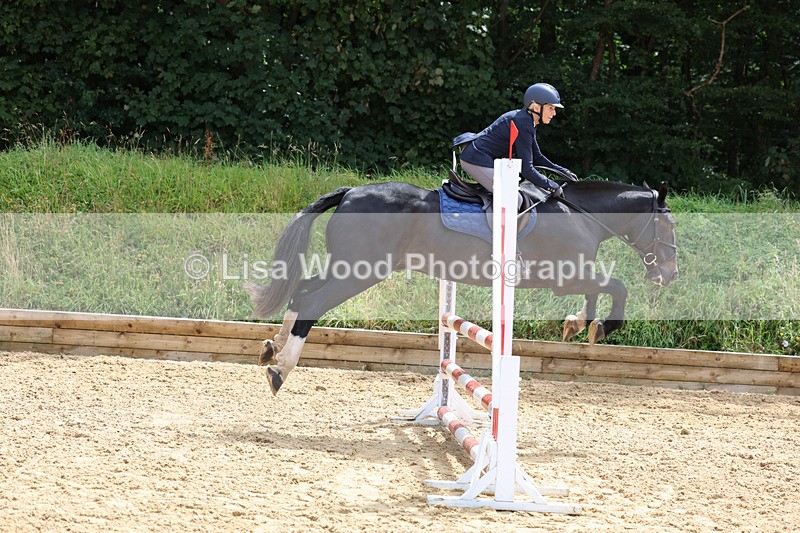 3E7A0180 - Class 9: Senior British Novice/90cm open