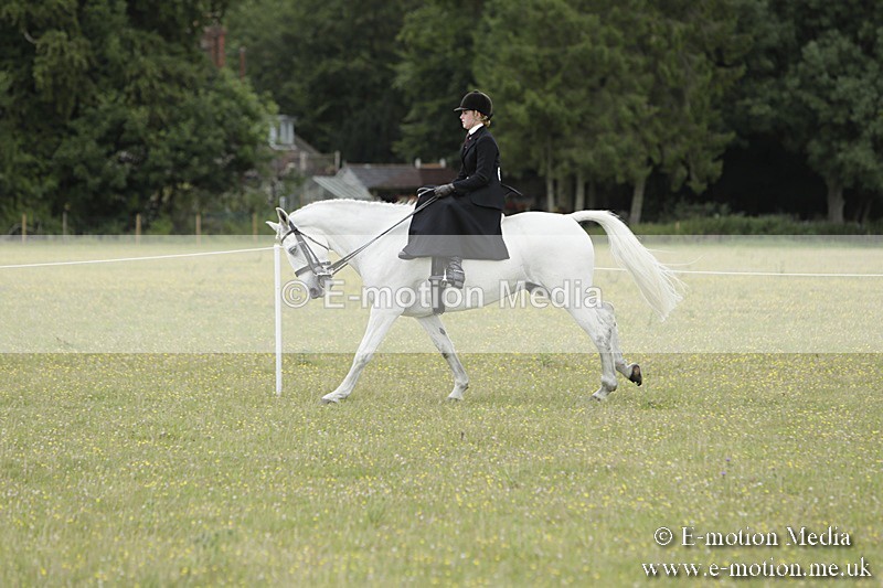 BVR160717-2372 - Side Saddle Classes 16/07/17