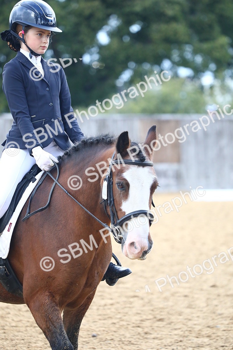 SBM_39037 - D21 - Junior Championship Intro 1