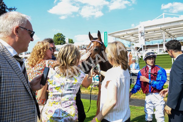 160623-Race 5-Harvanna-0316 - Race 5 4.10pm Juddmonte British EBF Fillies' Restricted Novice Stakes