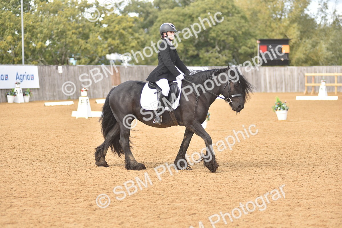 SBM_48799 - D22 - Junior Championship Intro 3