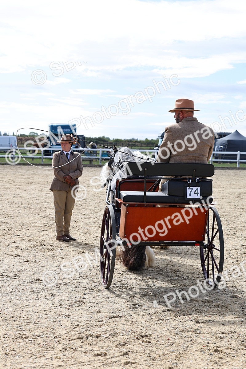 SBM_001210 - Class 16 - Pairs ,Multiples and Tandems