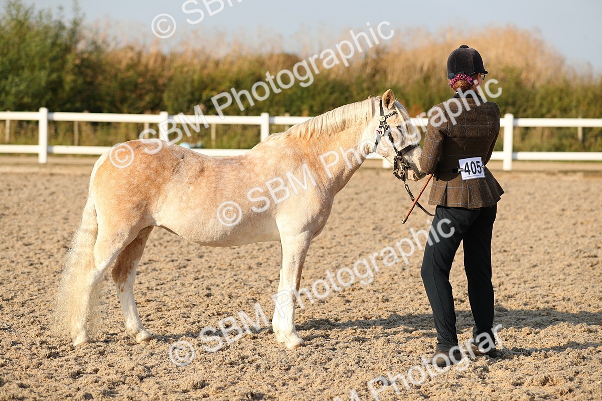 SBM_09062 - Class 29 IH Veteran Pony