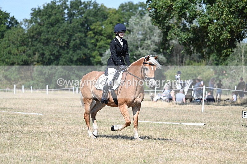 WJ7_0249 - Time 11:33 to 11:44