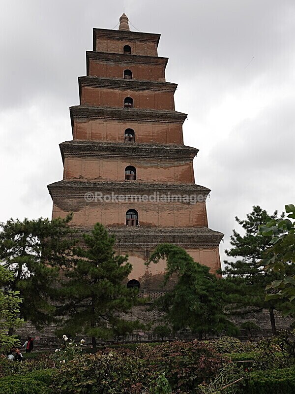 CHINA__0970 - China 2019