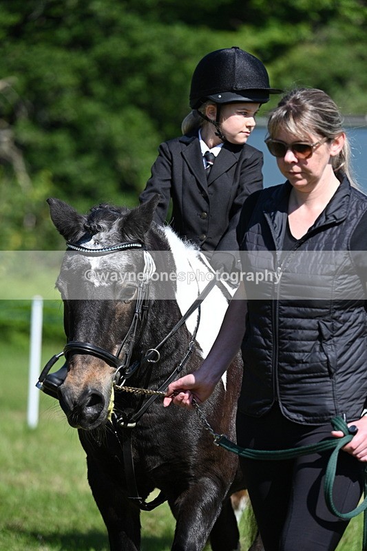 WJ7_0698 - Class 8 First Rally Pony