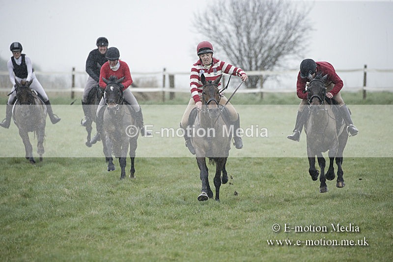 PtP 150320 0006 - New Forest Point-to-Point Larkhill 15/03/20