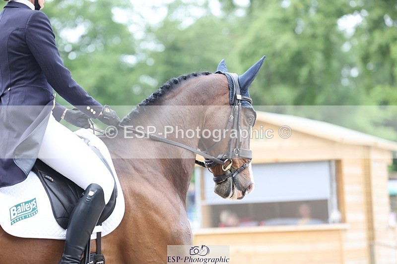 240523-104430-03394 - 214-DSH_GOLDEN_EYE-Lucinda_Mesquita