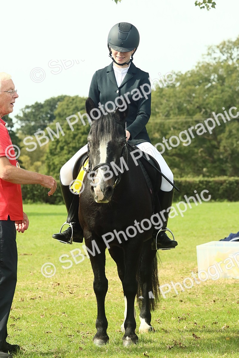 SBM_66774 - S34 - Rehabilitated Rescue Horse & Pony In Hand & Ridden