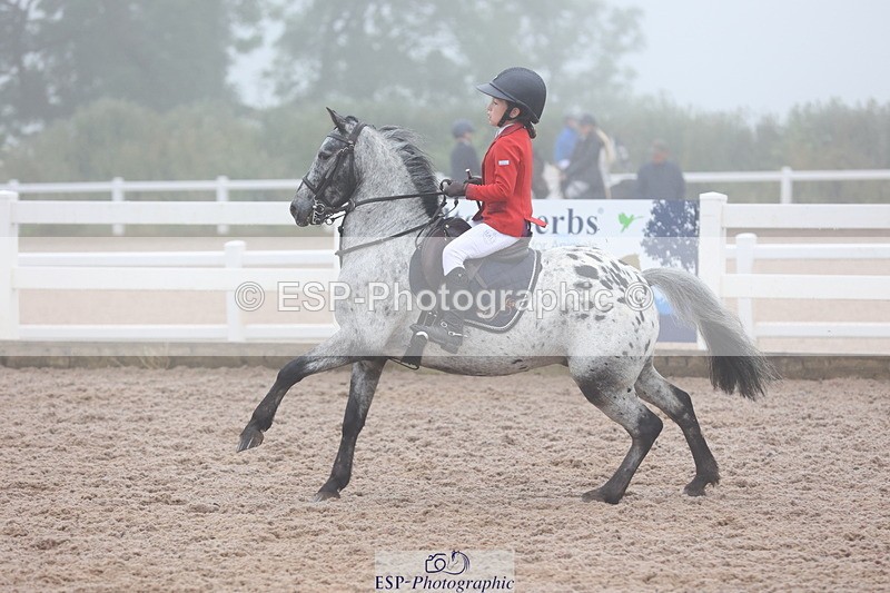 240630A-083138-11229 - Cls 30 British Novice and 80cm Open