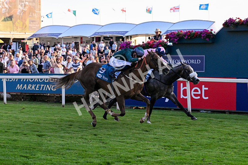 240726-Race 6-Explosive Finnish-5614 - Race 6 20.25pm Sky Bet Go-Racing-In-Yorkshire Summer Festival Handicap