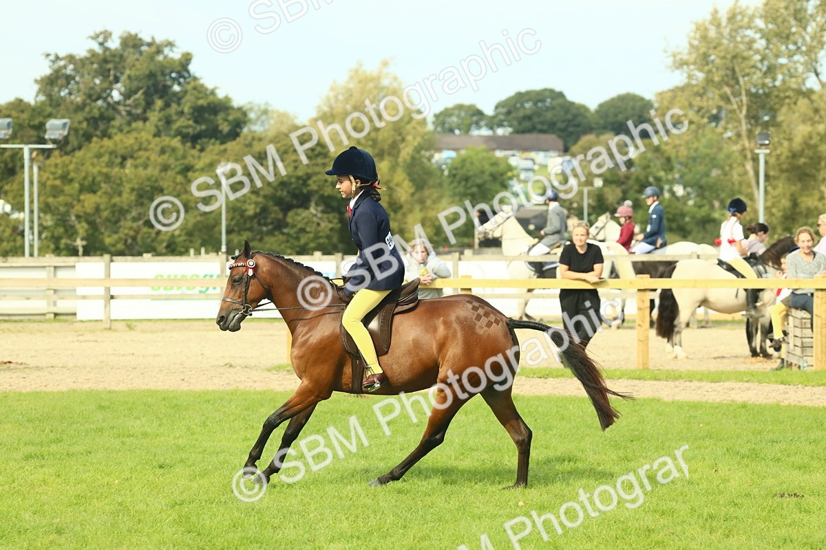 SBM_68100 - S57 - Part Bred Pony Ridden