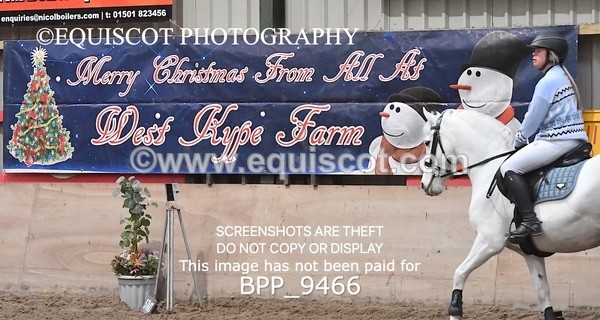 BPP_9466 - CLASS 5 60CM Progressive Show Jumping
