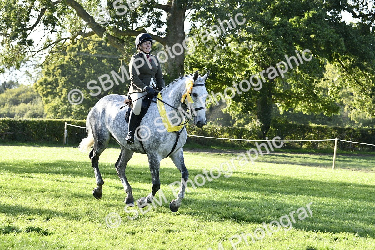 SBM_52278 - S35 - Working Hunter & Working Show Horse