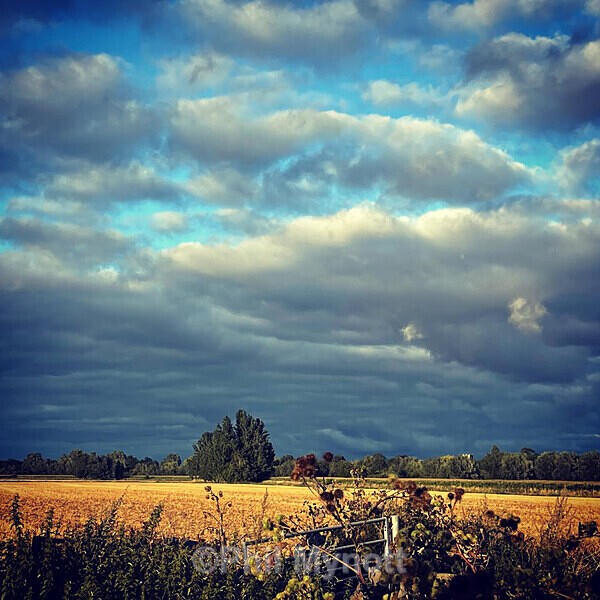PhotoMynottART058 - Photo Mynott ART Images