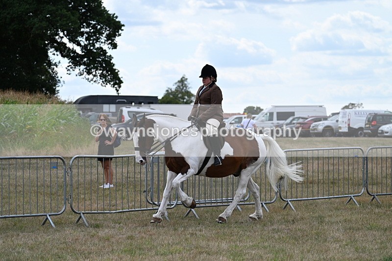 WJ7_5050 - Class 12 Ridden Cob