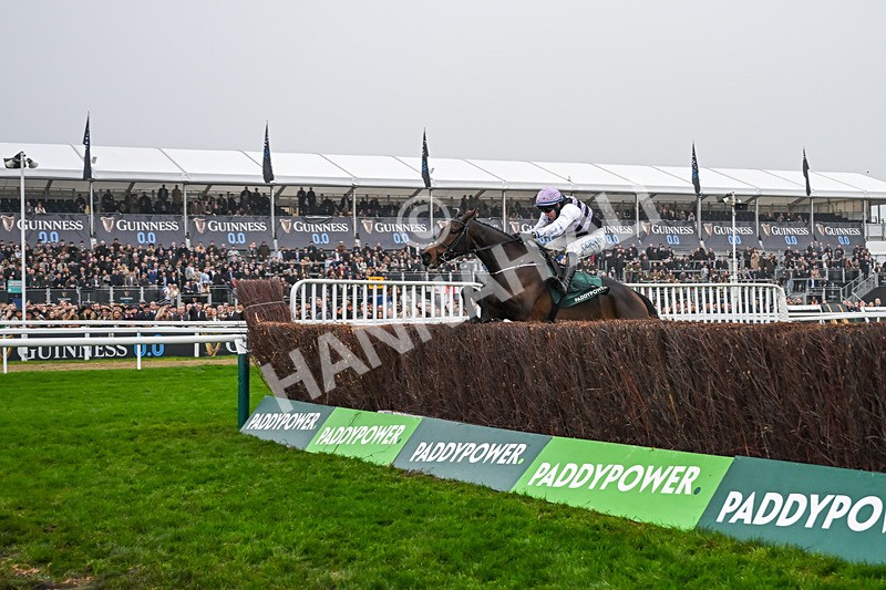 151125-Race 3-July Flower--3010 - Race 3