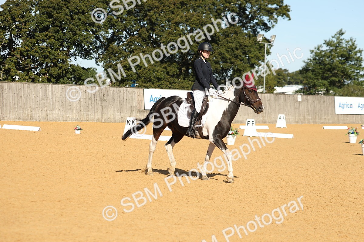 SBM_18731 - D10 - Small Tour Championship - Prelim 2