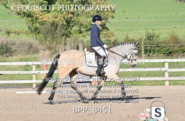 BPP_8451 - SHORT ARENA INTRO 1