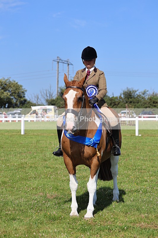IMG_1680 - Skewbald and Piebald Ridden Championship