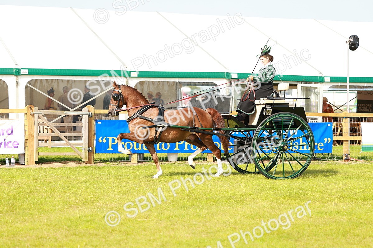 SBM_01185 - Class 2-4 - HOYS Private Driving