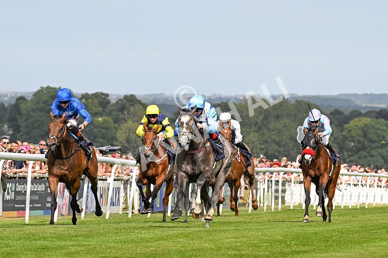 140824-Race 5-Havana Blue-3744 - Race 5