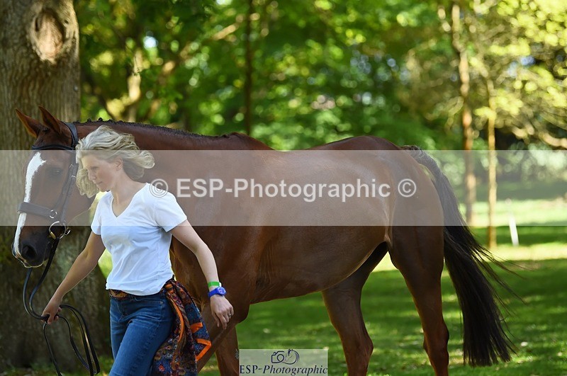 230524-152626-00271 - 328-GREENLOUGH_CROSS-Kelly_Mccarthy-maine-WEDTrotUp+DR
