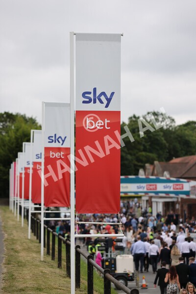 yr24072021r5-7 - Race 5 4.25pm Sky Bet Best Odds Guaranteed Stakes